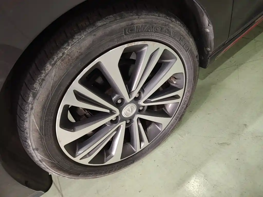 Changan Ruicheng CC — миниатюра 23