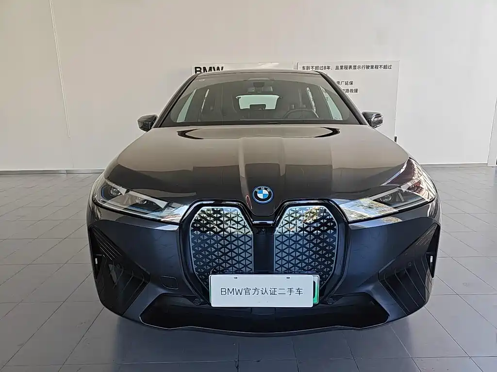 BMW iX — миниатюра 2