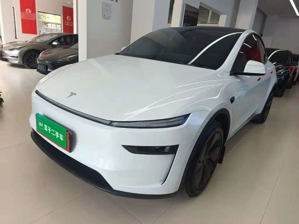 Tesla Model Y — миниатюра 2