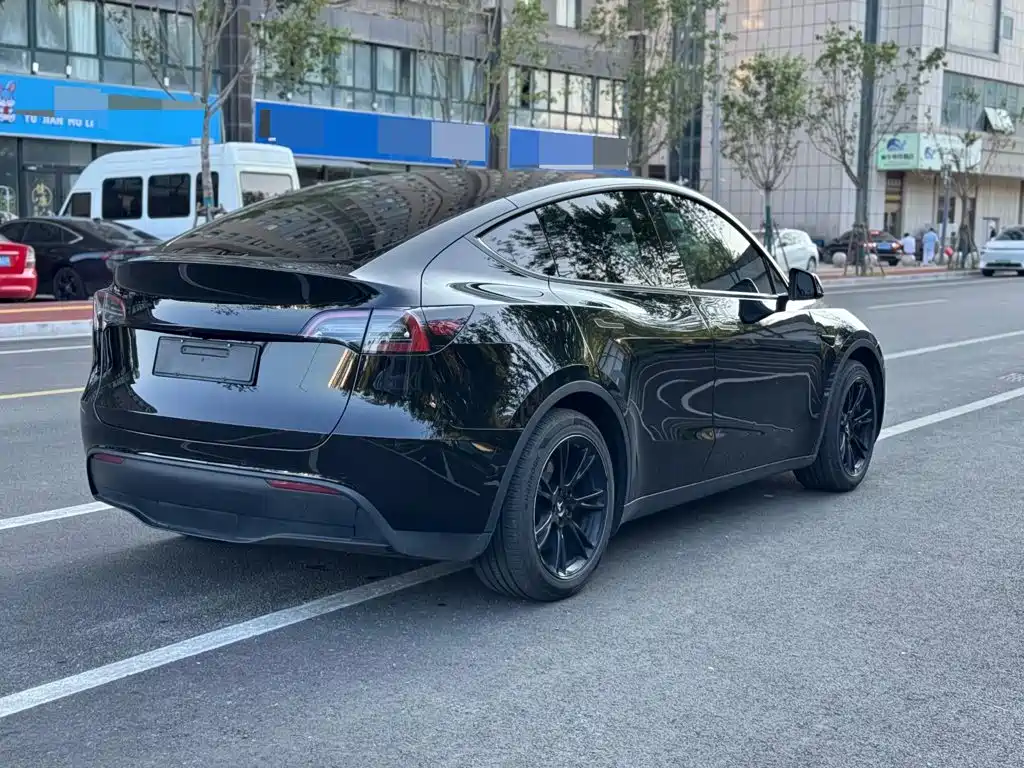 Tesla Model Y — миниатюра 4