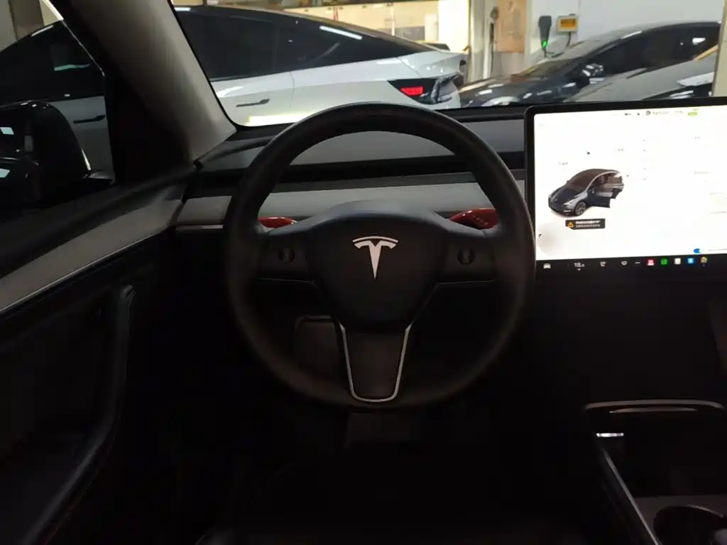 Tesla Model Y — миниатюра 11