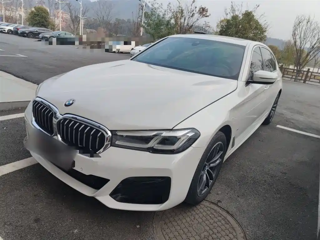 BMW 5 Series 2021
