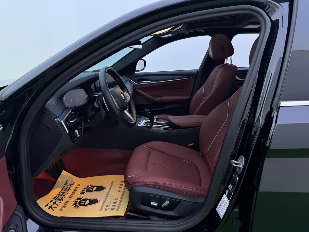 BMW 5 Series — миниатюра 28