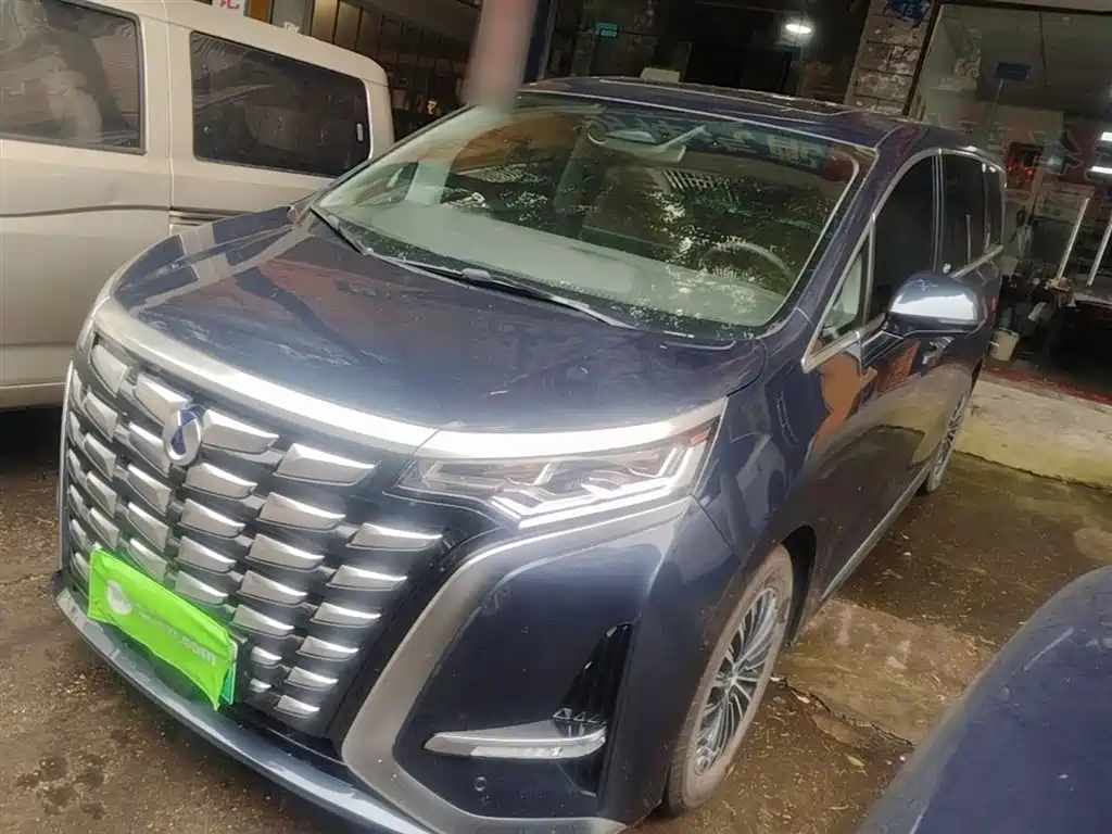 Denza D9