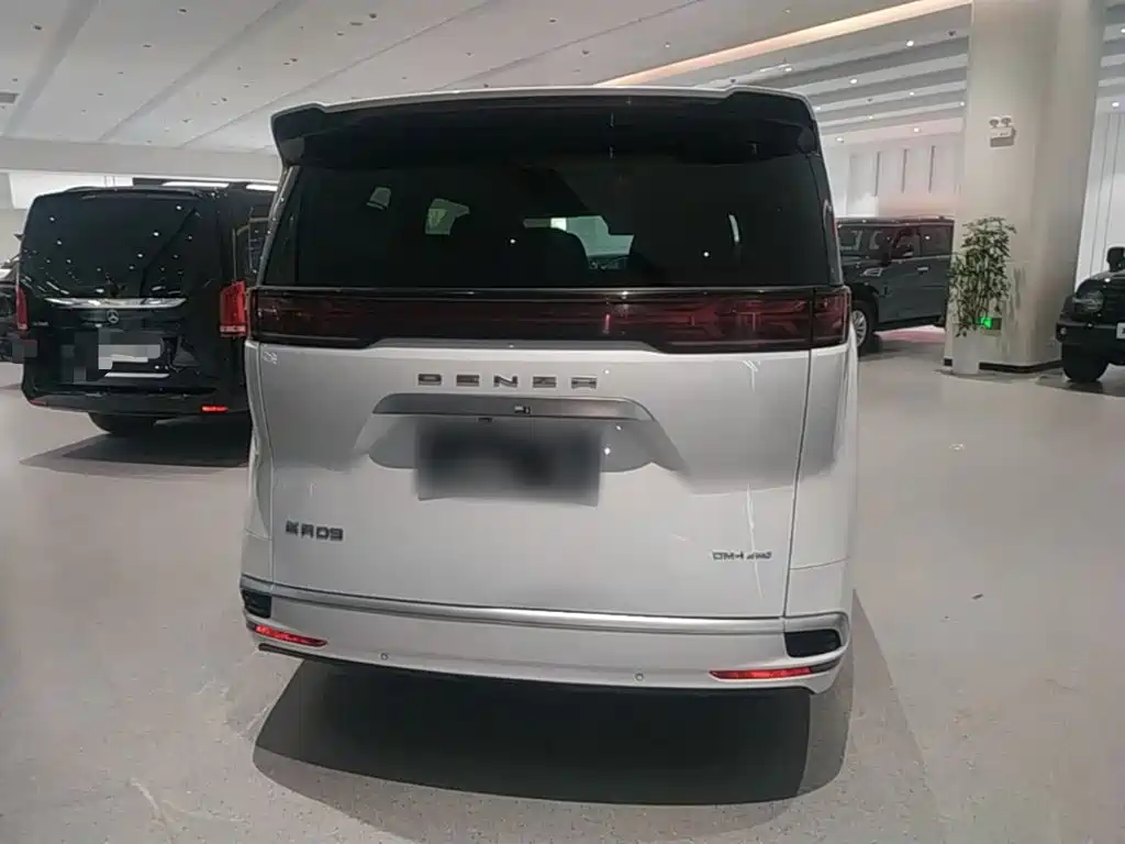 Denza Denza D9 — миниатюра 6