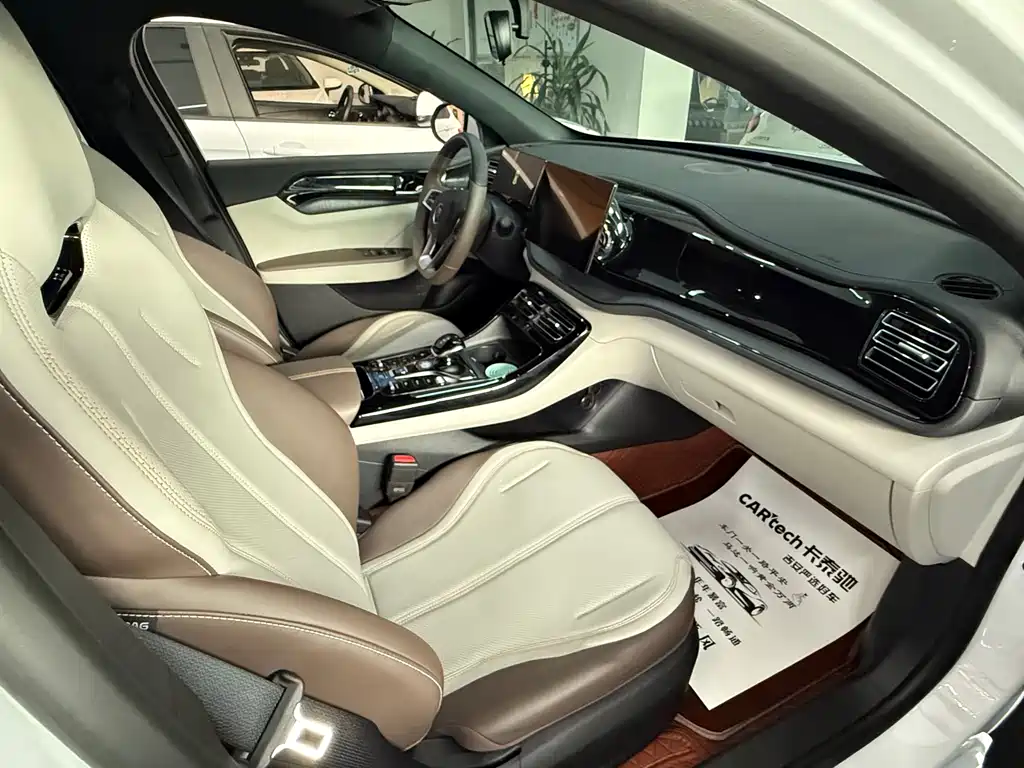 BYD Qin PLUS — миниатюра 9