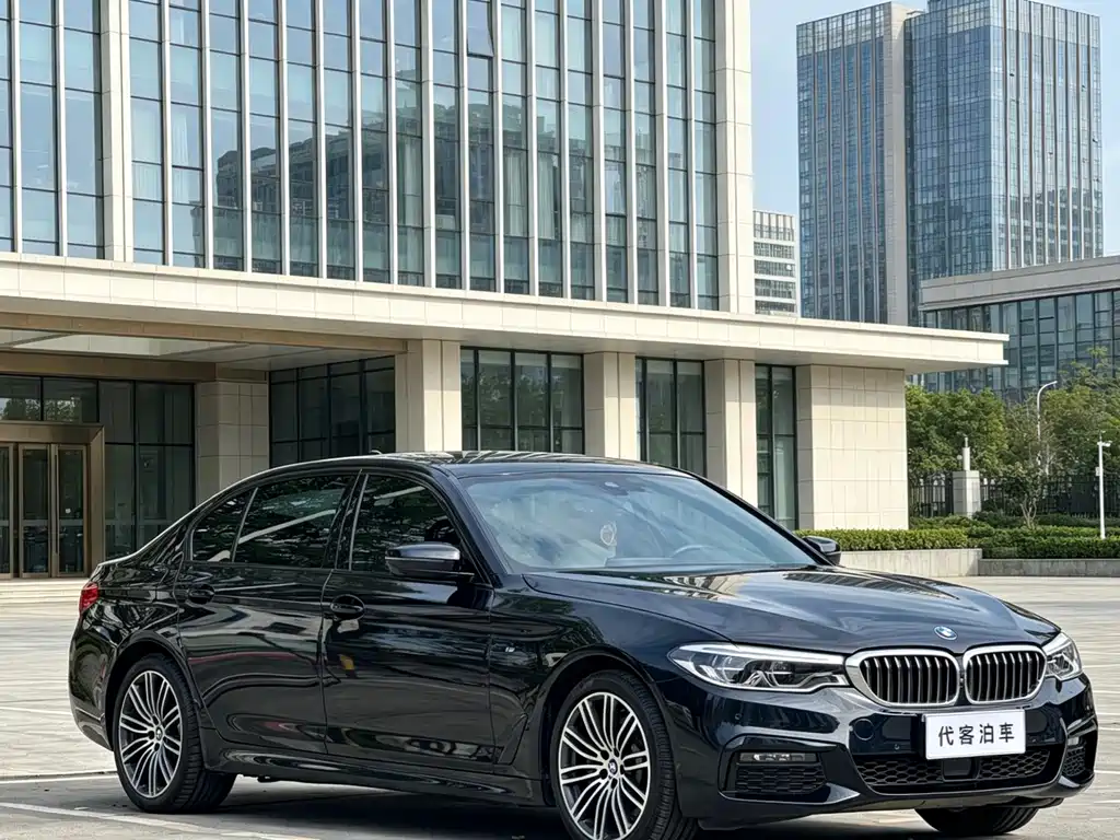 BMW 5 Series 5 2019 530Li Premium M Sport