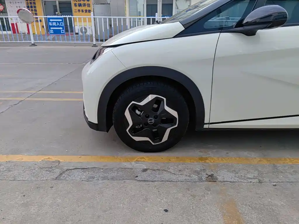 BYD Dolphin — миниатюра 23