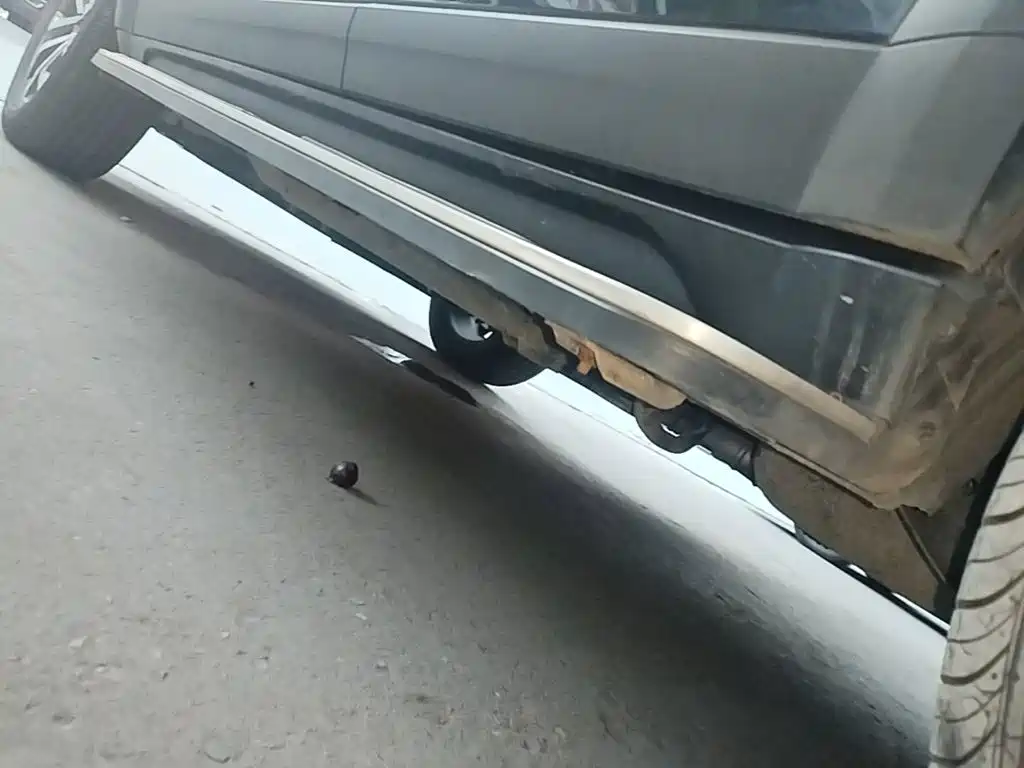 Haval Big Dog — миниатюра 22