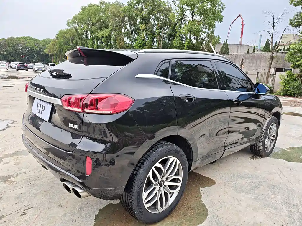 Wey VV5 Upgrade Model 2.0T 2WD Super Luxury Type China V, фото 9