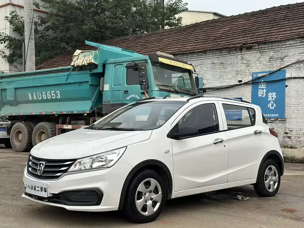 BAOJUN 310
