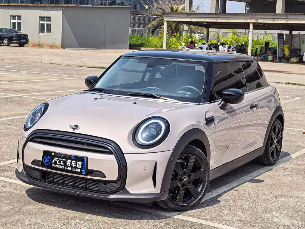 Mini Mini 2022