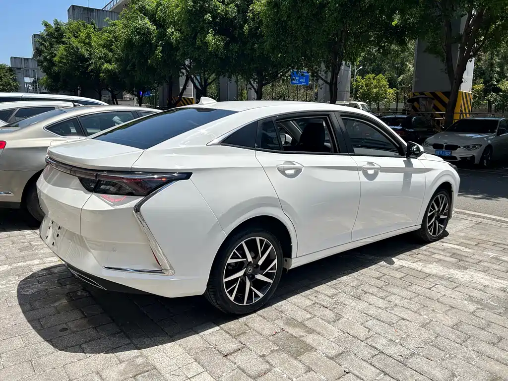Aeolus Yixuan — миниатюра 4