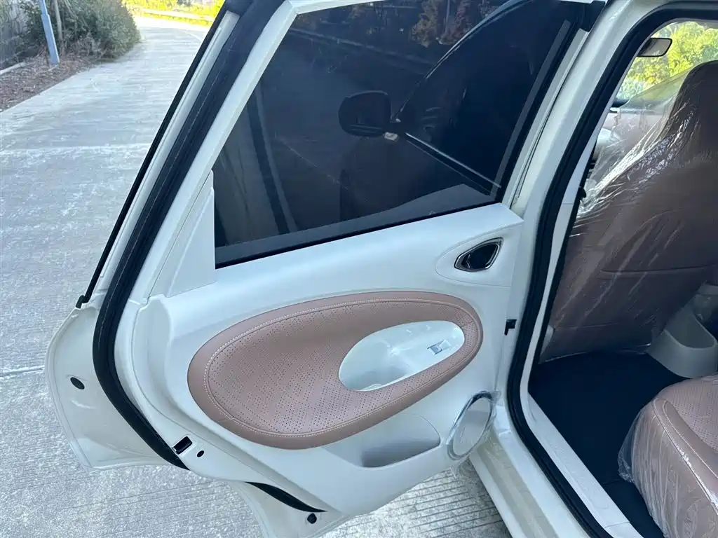 Wuling Binguo 2025 333km Enjoy