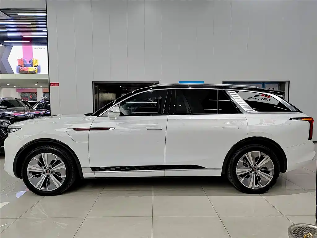 Hongqi HONGQI E HS9