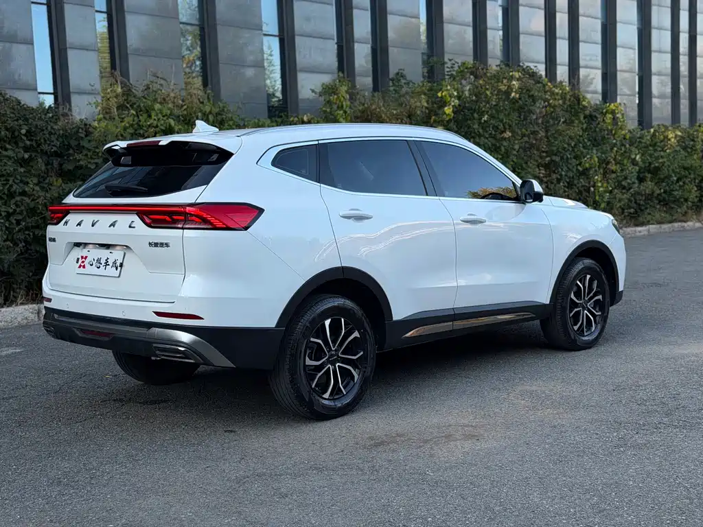Haval H6 — миниатюра 7