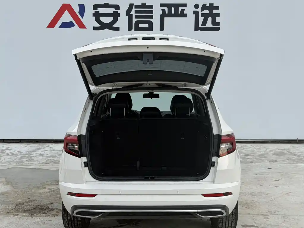 Skoda Karoq TSI280 Premium Edition, фото 8