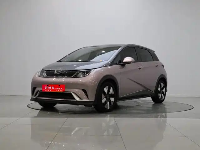 2022 BYD Dolphin