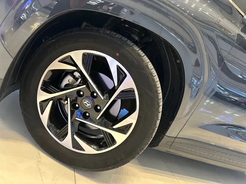 Hyundai Custo — миниатюра 4