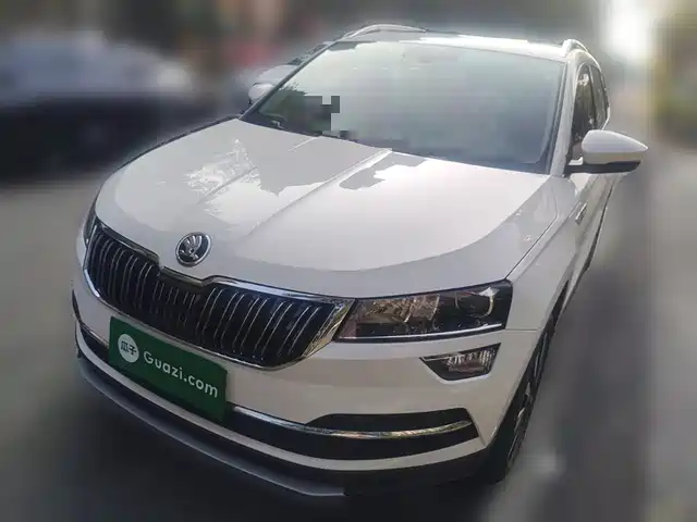 SKODA KROK 2019