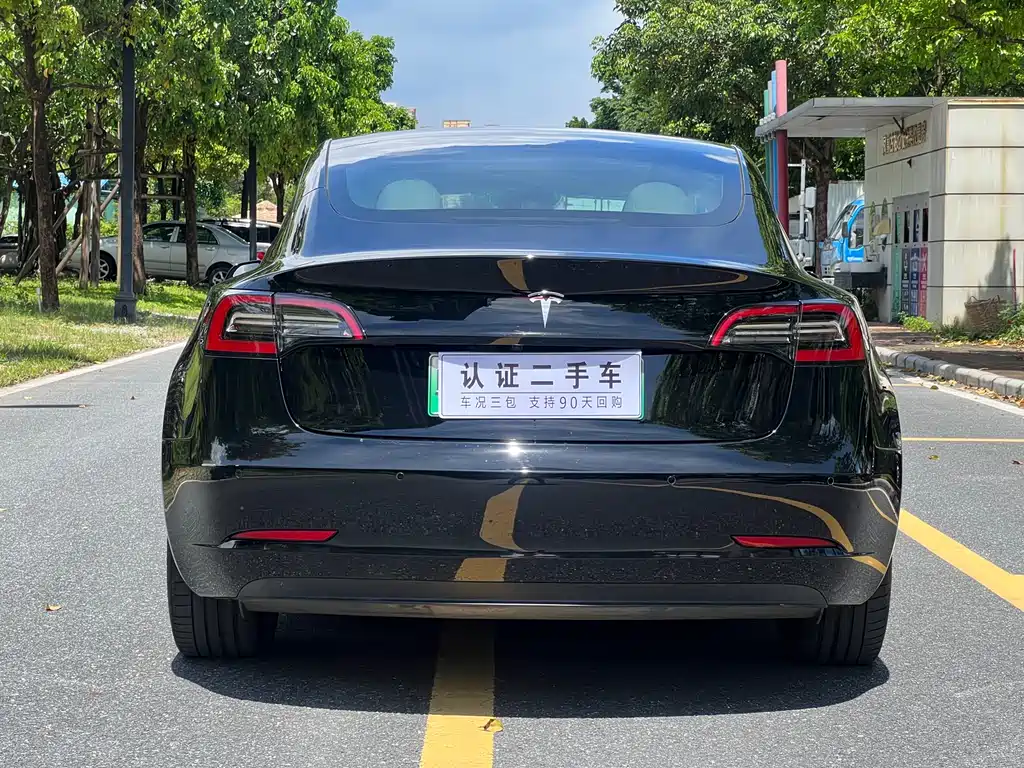 Tesla Model 3 2021 3D1
