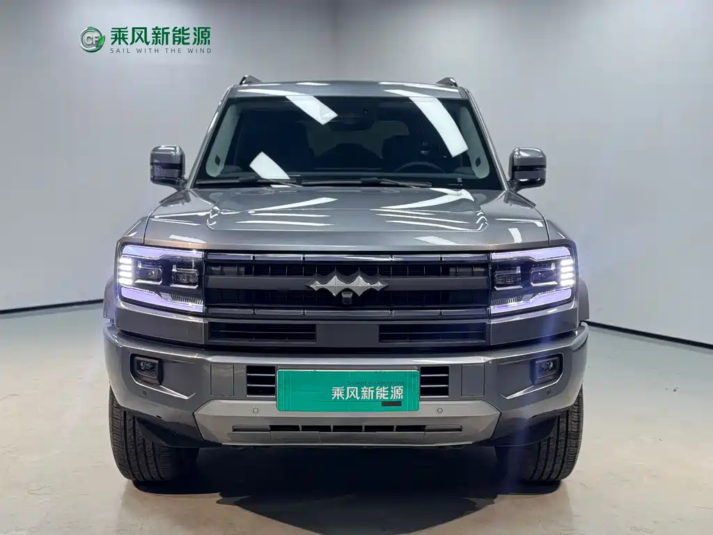 FANG CHENG BAO LEOPARD 5