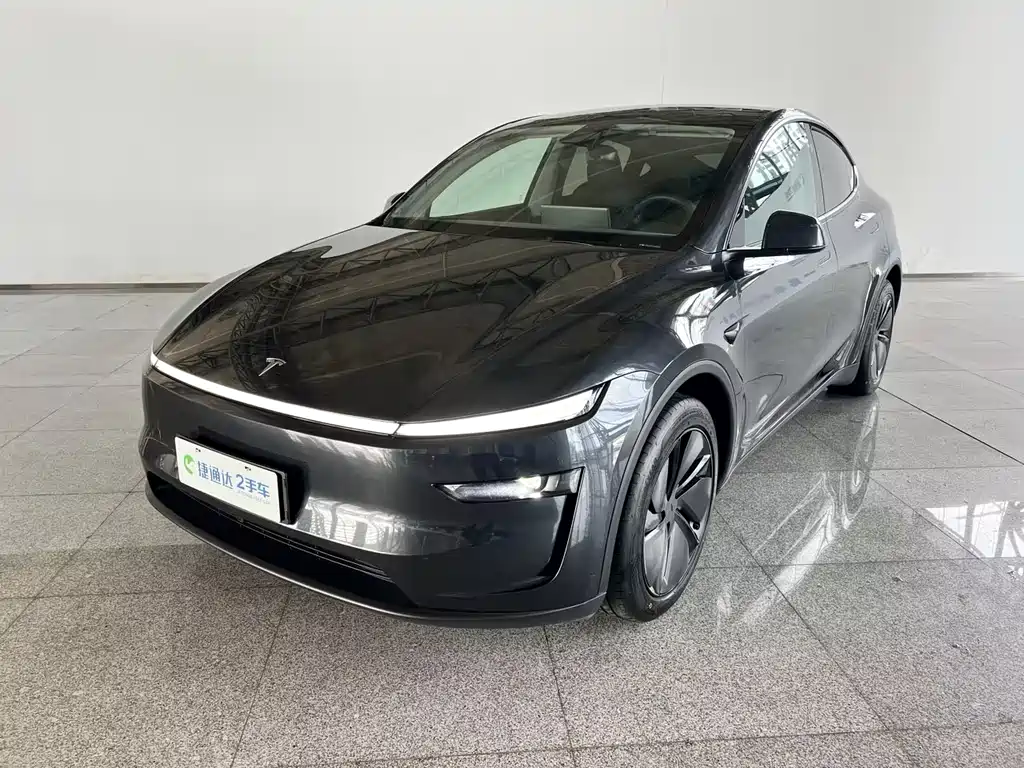 Tesla Model Y — миниатюра 30