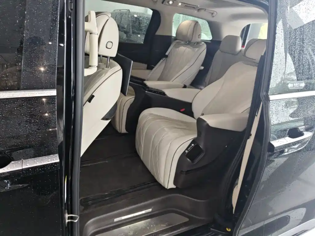 Denza Denza D9 — миниатюра 17