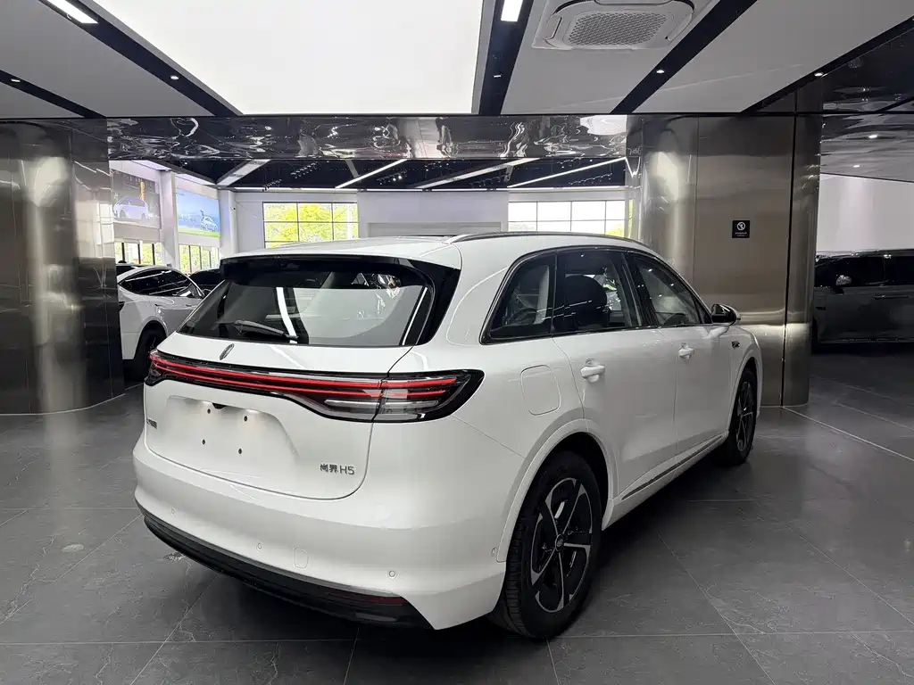 Shangjie Shangjie H5 — миниатюра 14