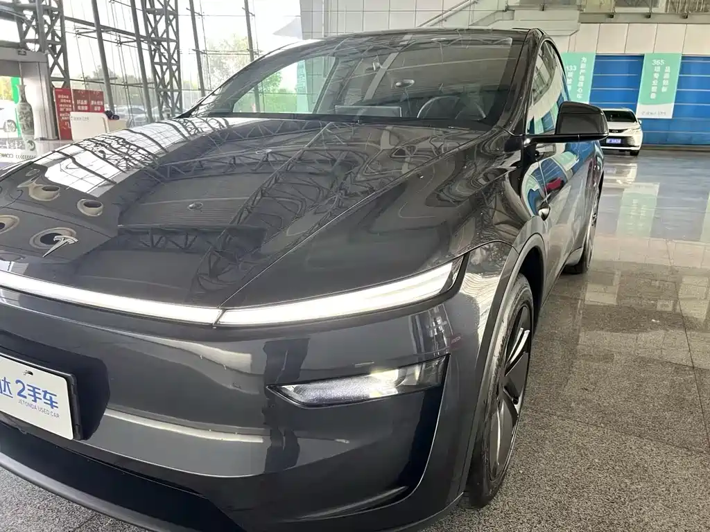 Tesla Model Y — миниатюра 4