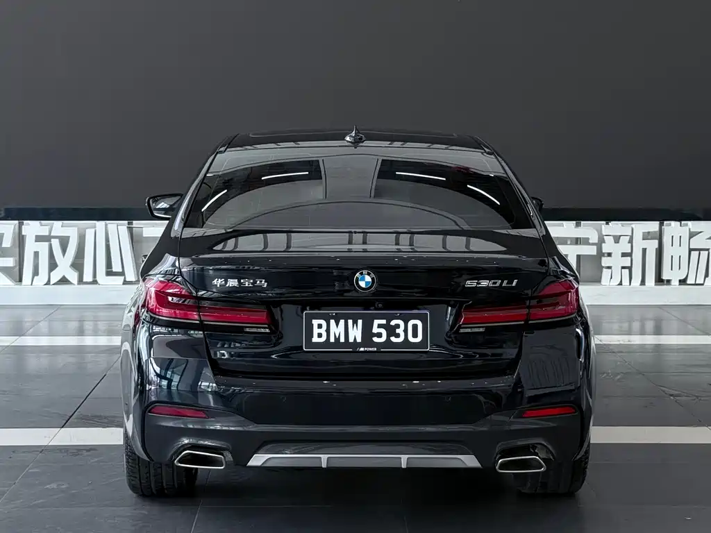 BMW 5 Series — миниатюра 5