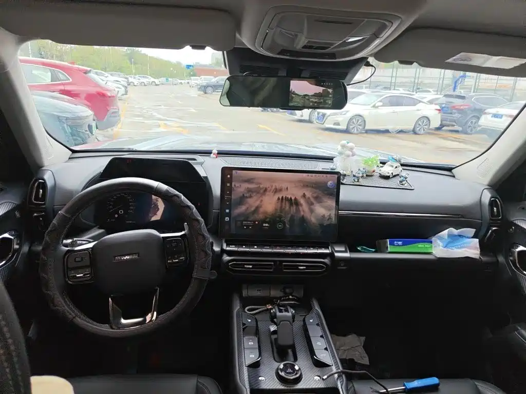 Haval Big Dog PLUS — миниатюра 13
