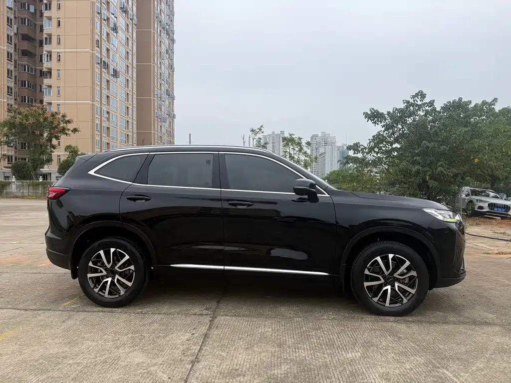 Haval H6 — миниатюра 5