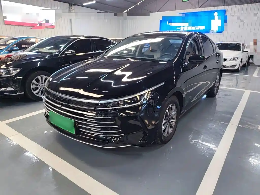 BYD Destroyer 05 — миниатюра 2