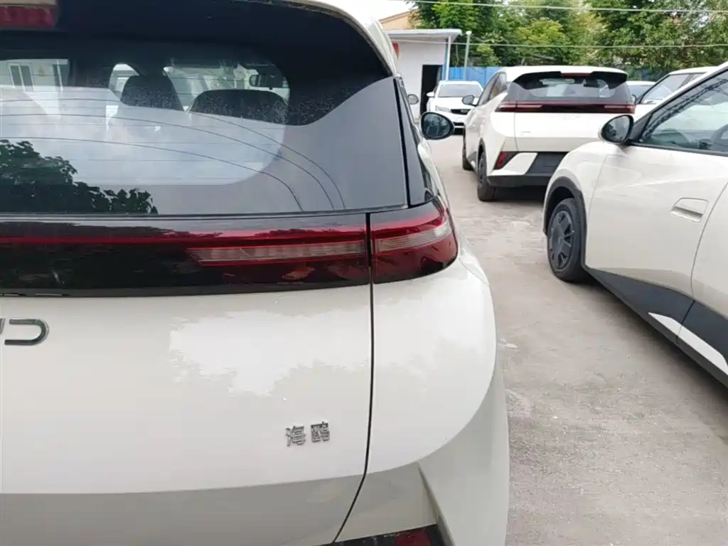 BYD Seagull 2025 Smart Drive 305km