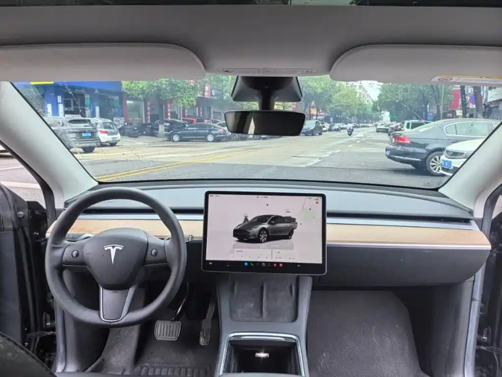 Tesla Model Y — миниатюра 8