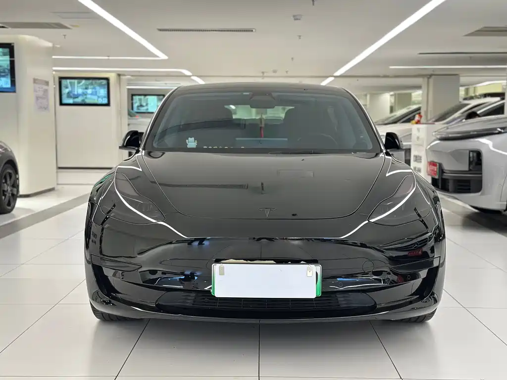 Tesla Model 3 2021 3D6