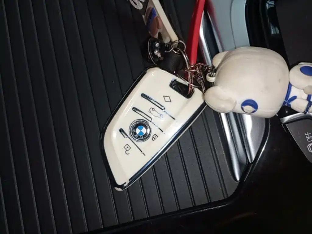 BMW X3 — миниатюра 9