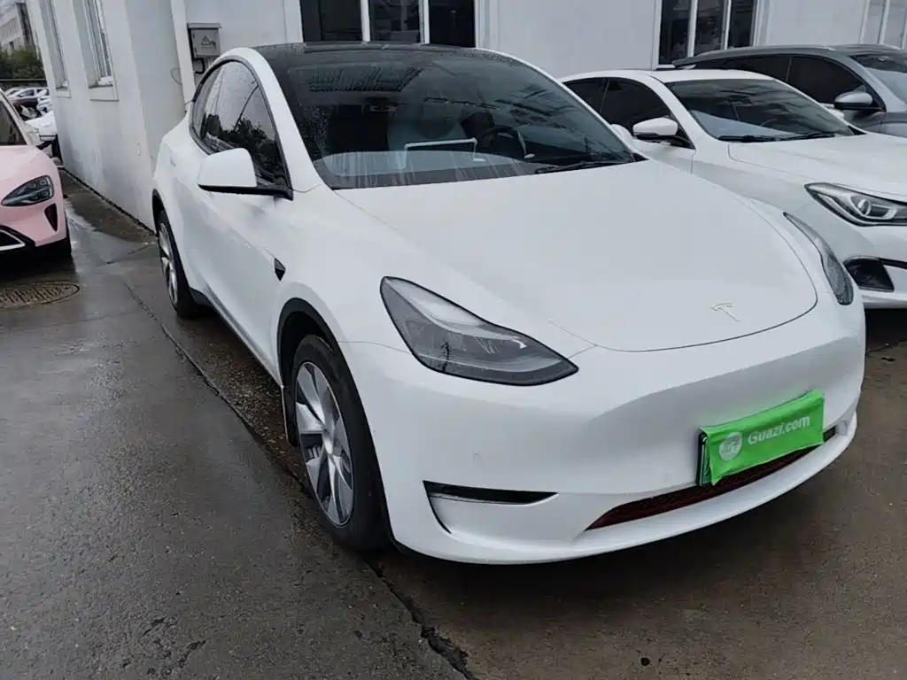 Tesla Model Y — миниатюра 4