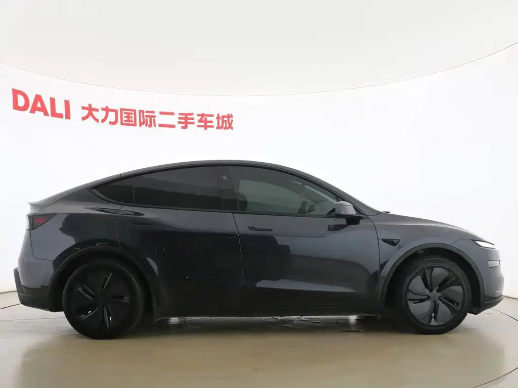 Tesla Model Y — миниатюра 5