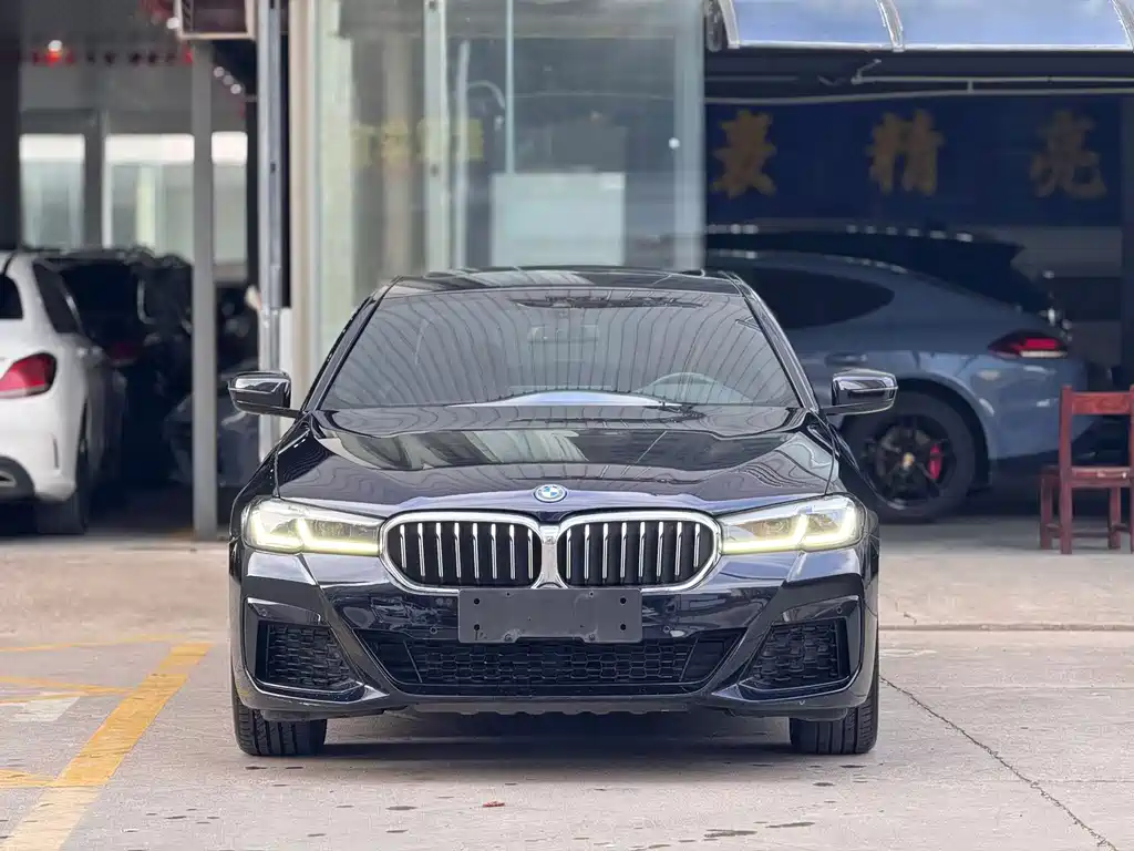 BMW 5 Series New Energy — миниатюра 2
