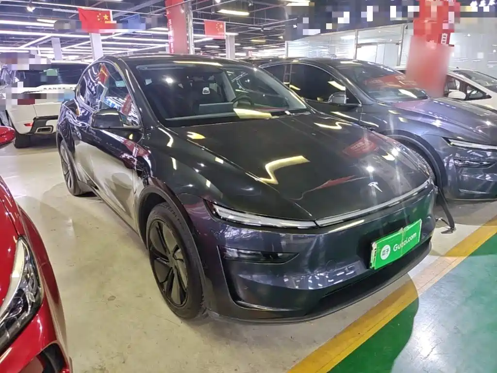 Tesla Model Y — миниатюра 4