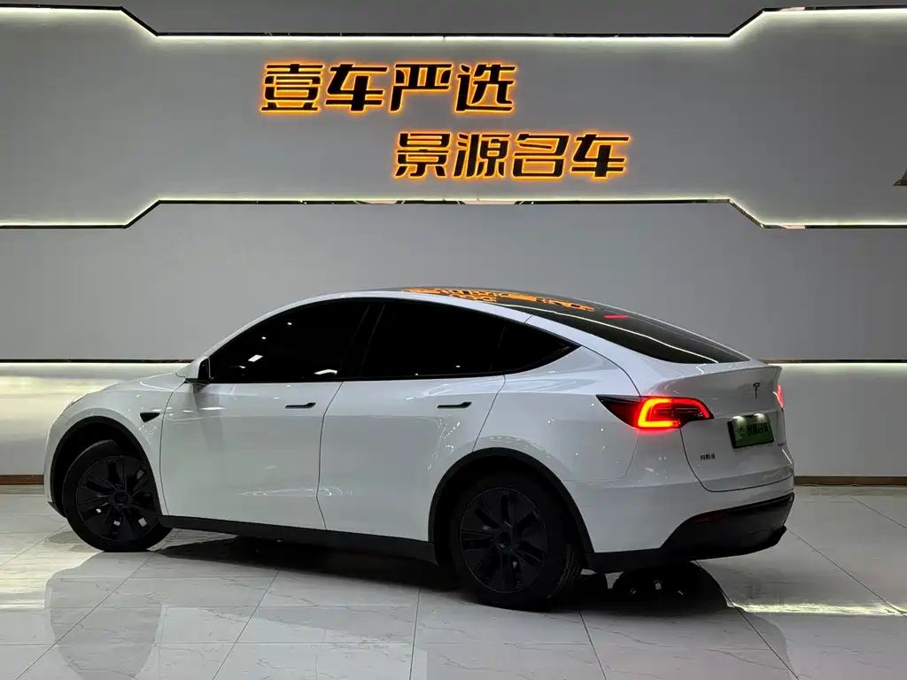 Tesla Model Y — миниатюра 4