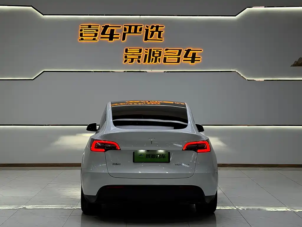 Tesla Model Y — миниатюра 5