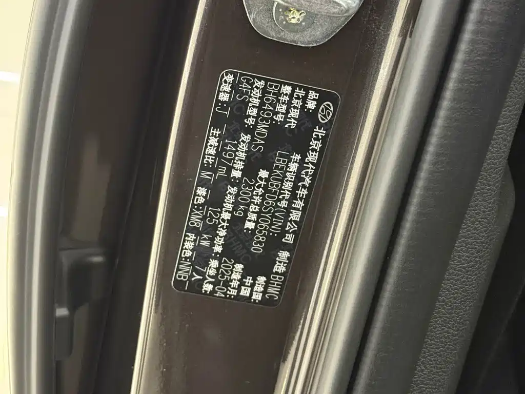 Hyundai Custo 270TGDi LUX Premium Edition, фото 3