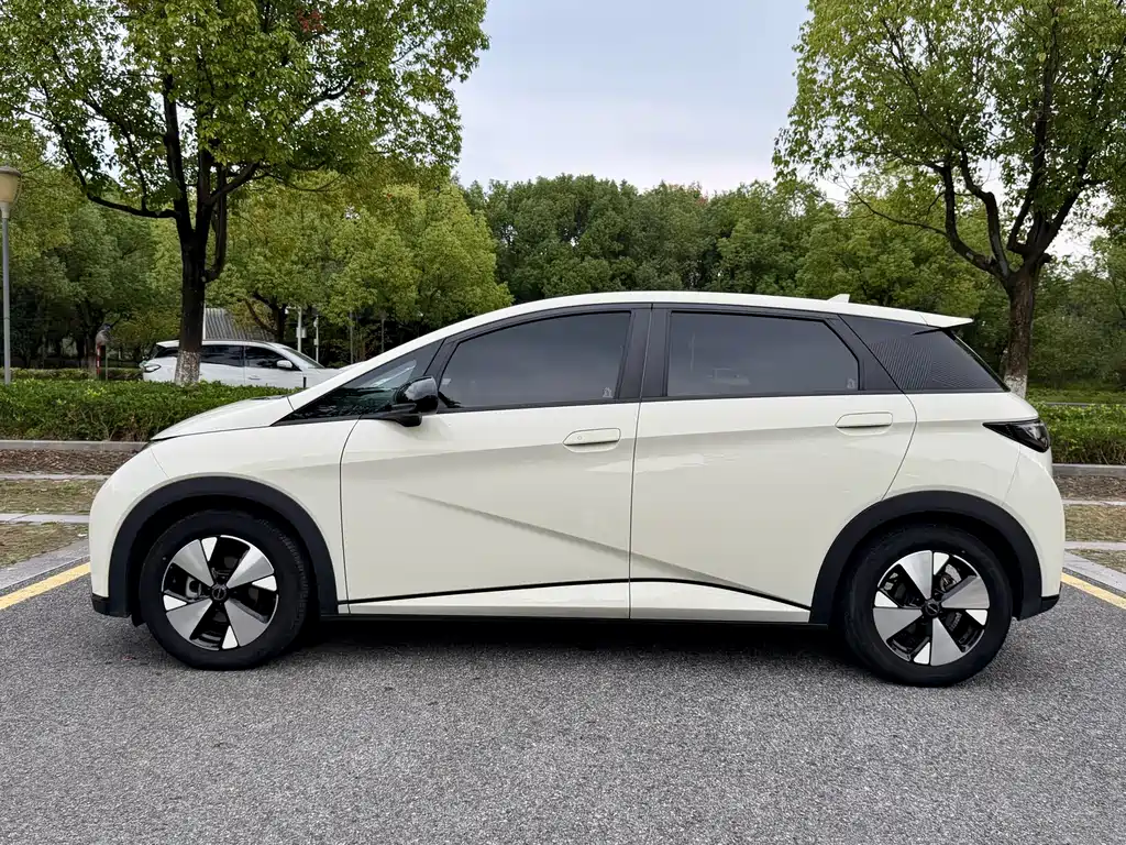 BYD Dolphin — миниатюра 18