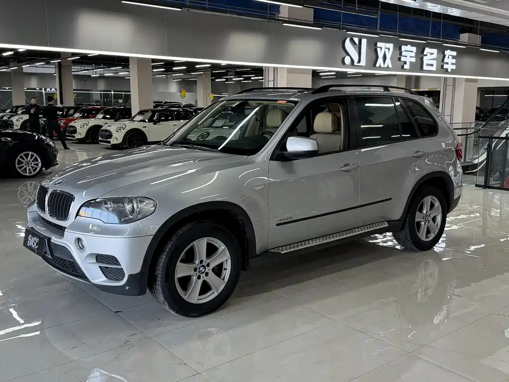 BMW X5 (Import) 2010