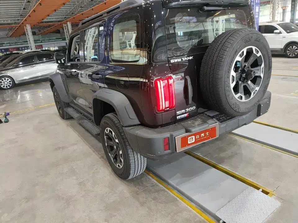Tank Tank 300L New Energy — миниатюра 4