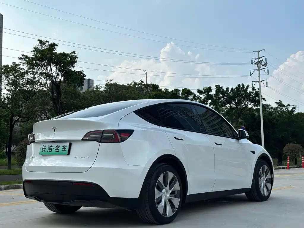 Tesla Model Y — миниатюра 11