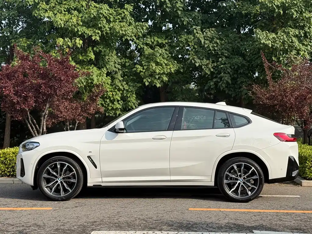 BMW X4 — миниатюра 2